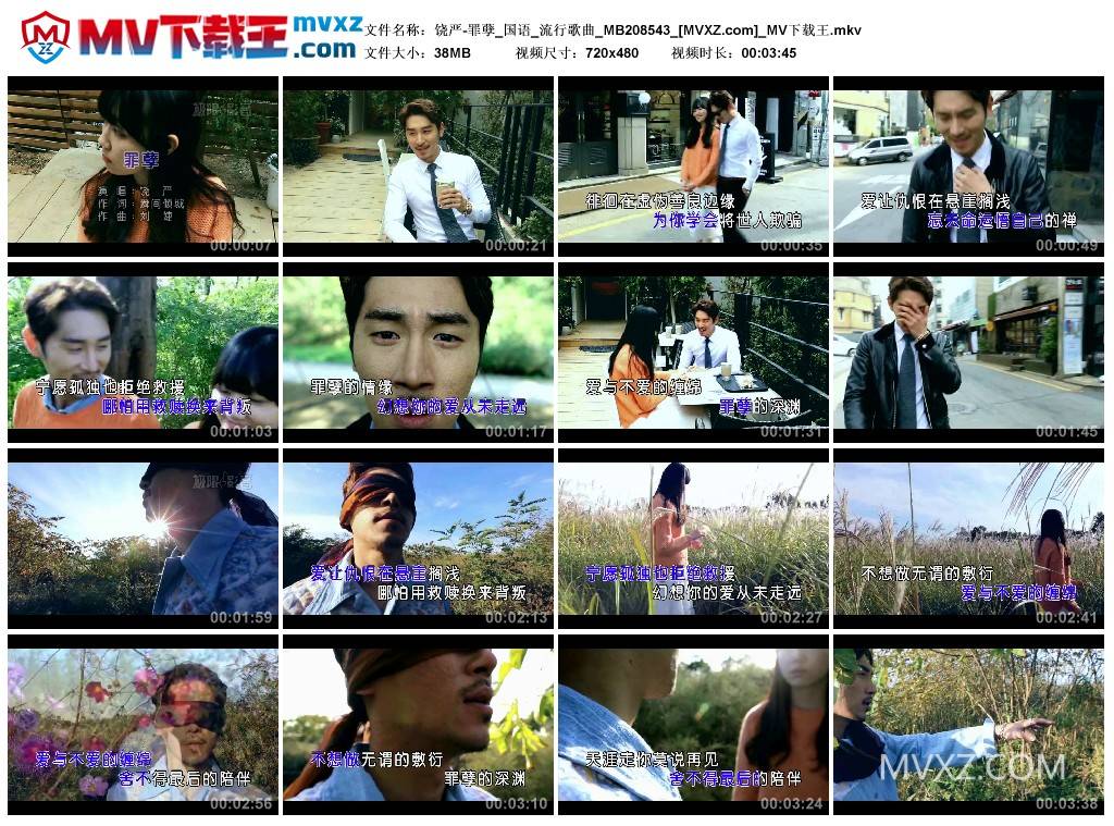 饶严-罪孽_国语_流行歌曲_MB208543